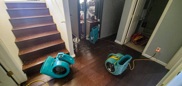 Newkirk, OK Water damage restoration Pros