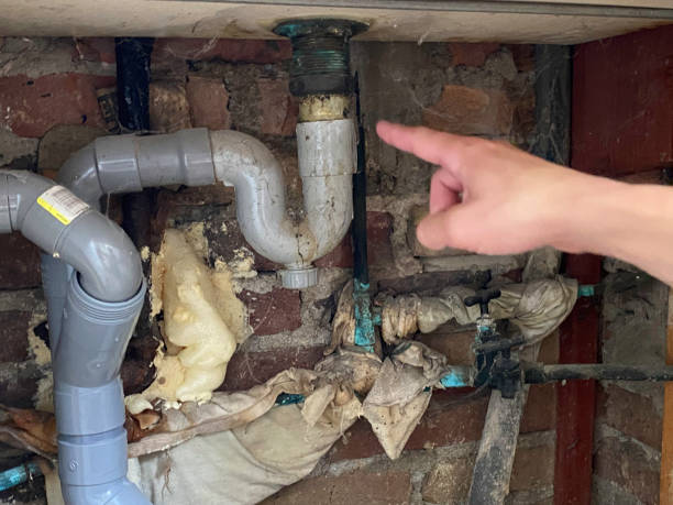 Best Water damage restoration services  in Newkirk, OK