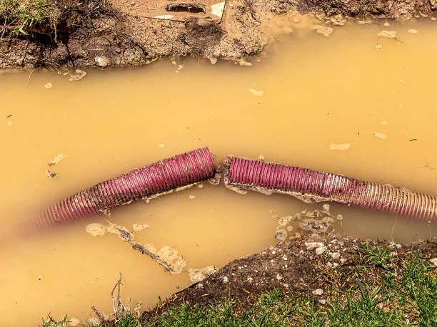 Best Residential water damage restoration  in Newkirk, OK